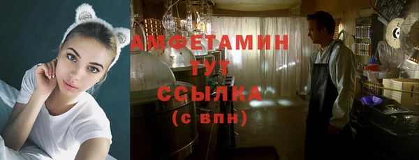 прущий лед Инсар