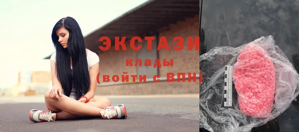 ешки Инта