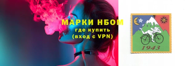 прущий лед Инсар