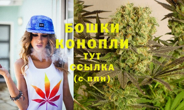 ешки Инта
