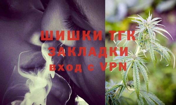 прущий лед Инсар