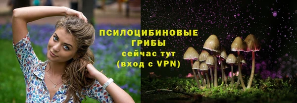 ешки Инта