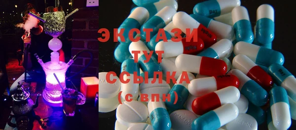 ешки Инта