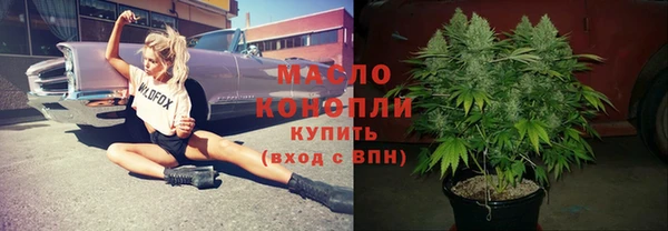 ешки Инта