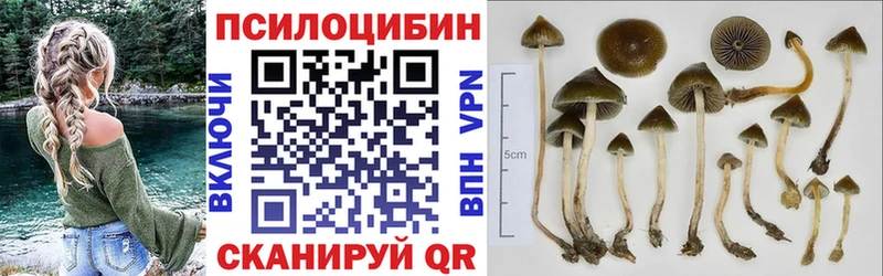 купить наркотик  Коломна  Псилоцибиновые грибы Psilocybine cubensis 
